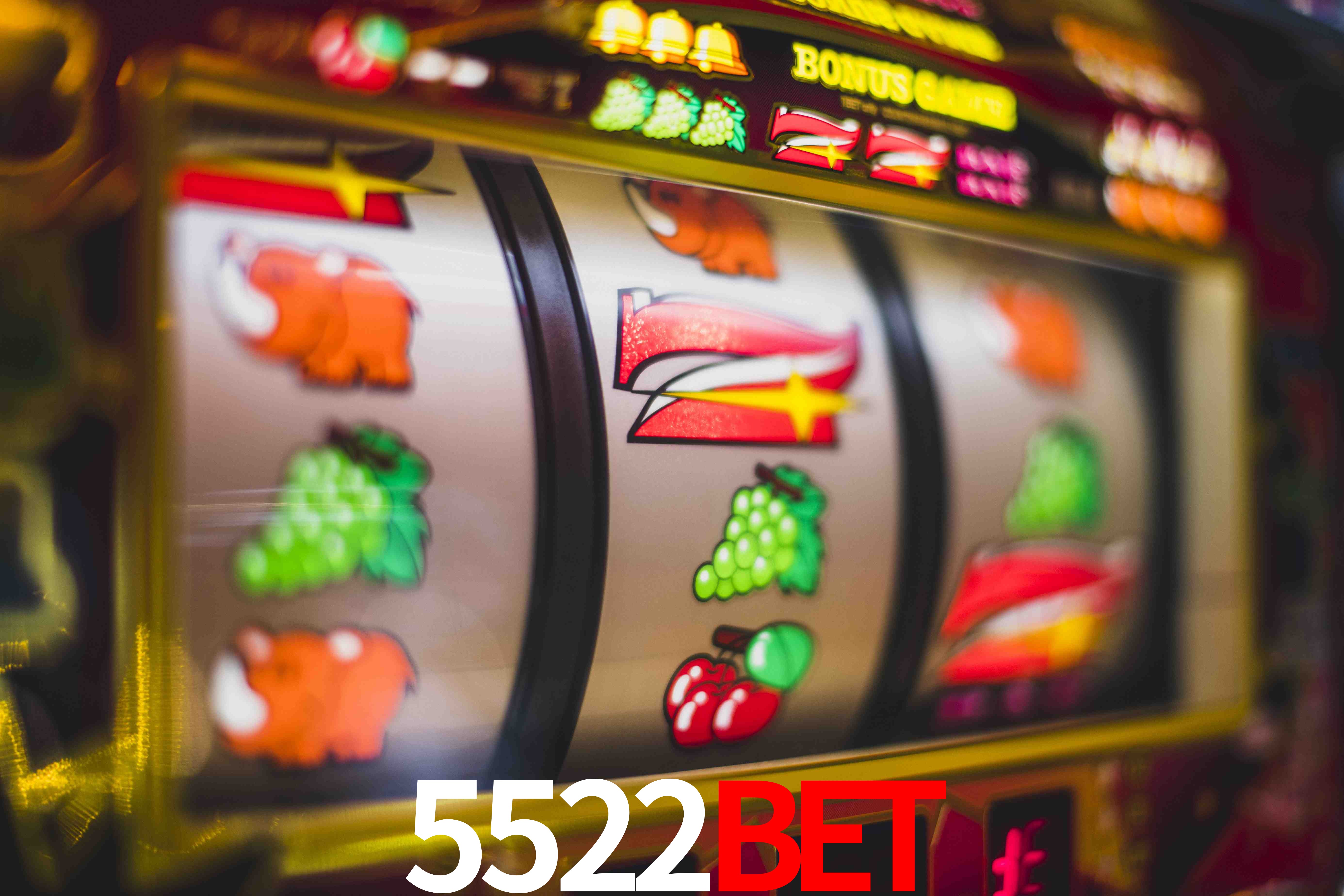 Statistics 5522Bet